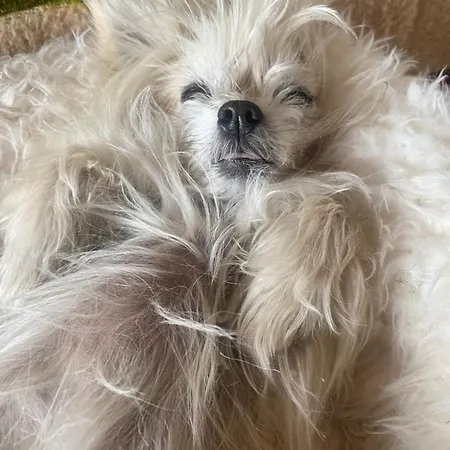 Διαμέρισμα And Music