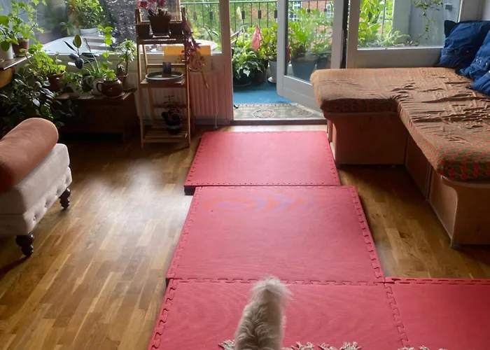 And Music Apartament Kopenhaga